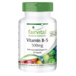 FV Vitamin B5 caps 60x500mg
