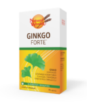 NATURAL WEALTH Ginko Forte 48x60mg